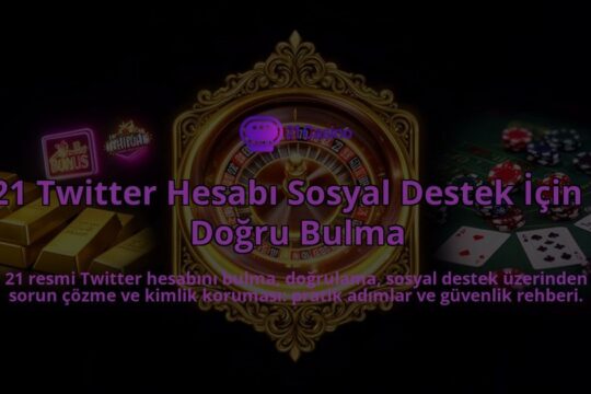 21-Twitter-Hesabi-Sosyal-Destek-Icin-Dogru-Bulma-overlay-1786627674.jpg